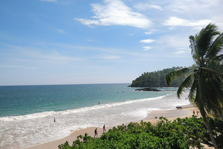 SRI LANKA - MIRISSA_73e5c_lg.jpg